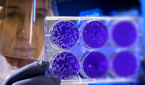 Innovating During COVID-19: New Jersey’s Next Era in Life Sciences
