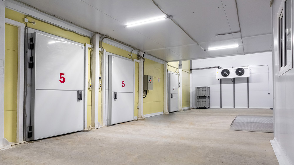 Why Cold Storage May Defy the Tariff Crunch 