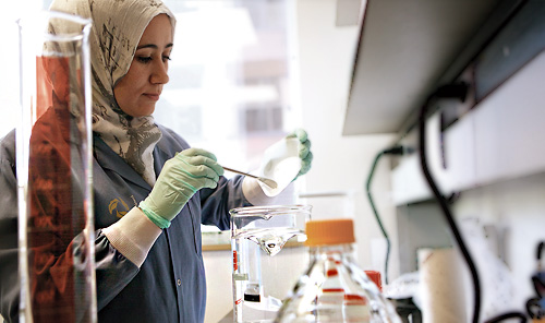 High-Quality Talent: The Not-So-Secret Ingredient in Canada’s Economic Recipe for Success