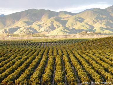 Special Investment Report: California’s Central Valley