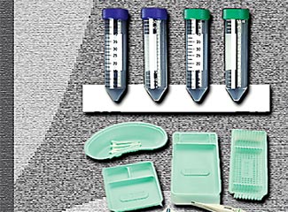 Plastics Industry Thrives Despite Automotive, Appliance Troubles